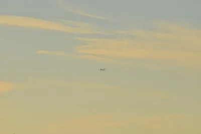 DSC_5703 (Large).JPG